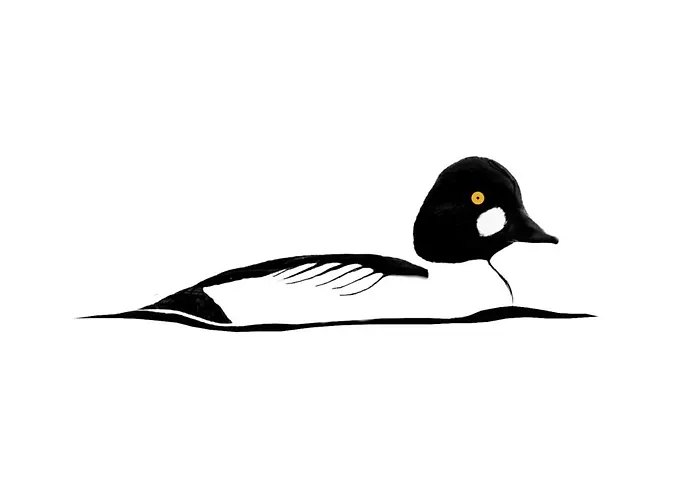 Seaview 2-bedroom Goldeneye With Private Garage In Duinbergen Apartman Knokke-Heist